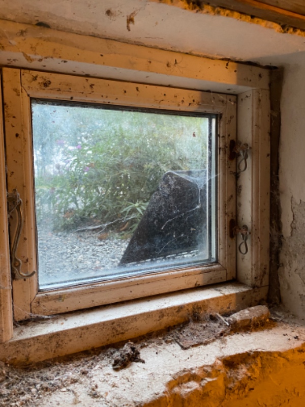 Rengøring af kælder