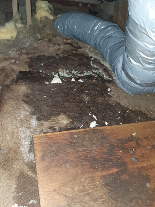 Udluftningsrør på loft ift. emhætte. drypper. Isolering.