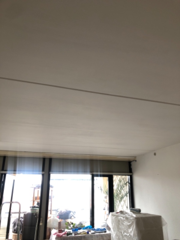 Haster:(gen)Maling af loft