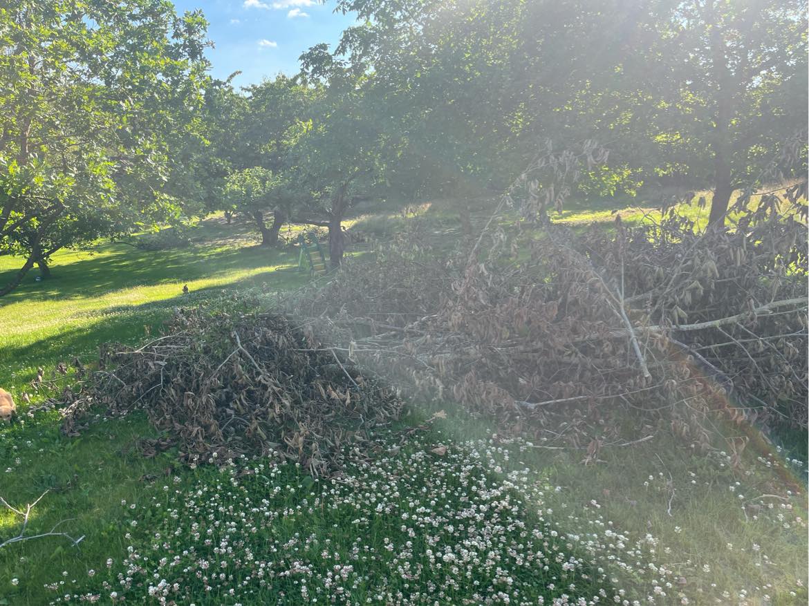 Bortkørsel af haveaffald