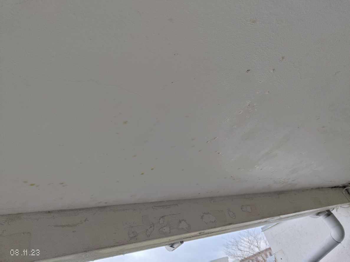 Repair/Touch up/Renovation Altan