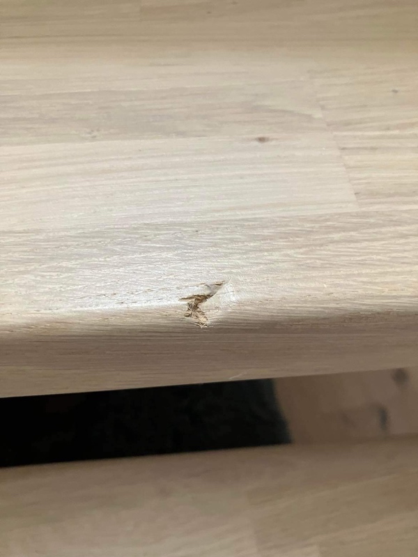 TØMRER SØGES: Udbedring af hakker i trægulv