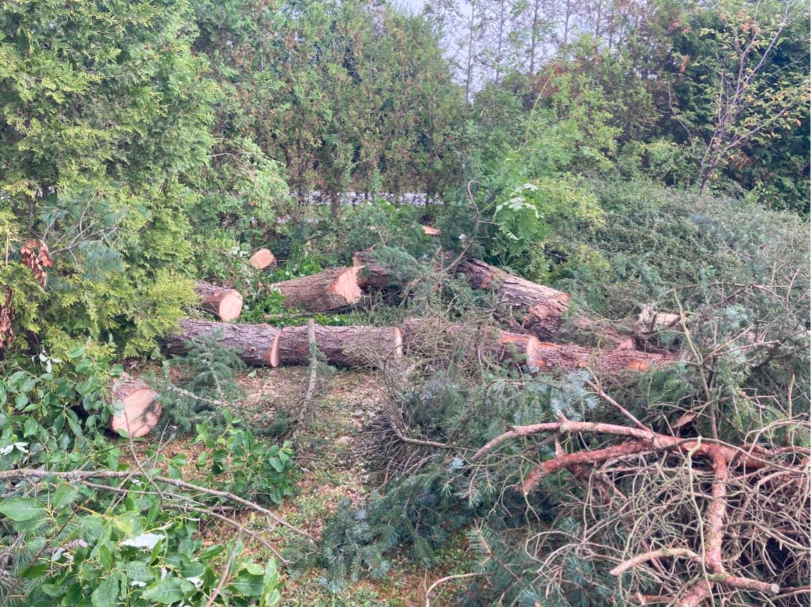 Flishugning af træer