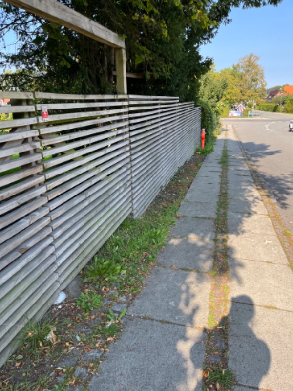 Luget ukrudt langs hegn