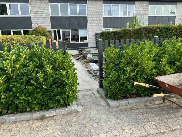 Afhent Jord Og Fliser