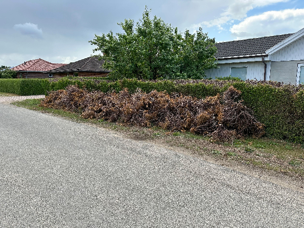 Bortkørsel af haveaffald