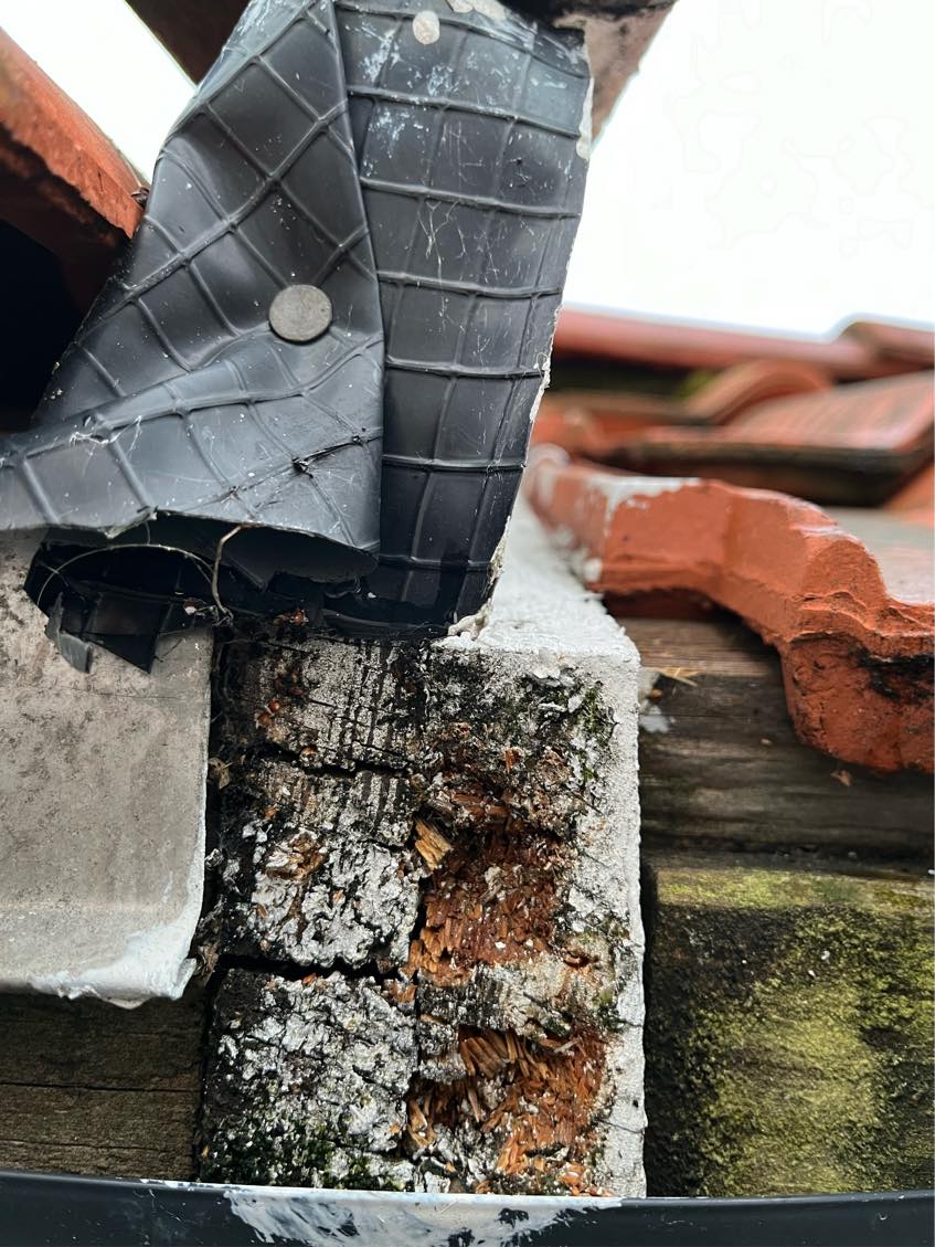 Gipsplader på en væg ca. 3x2,80, Montering af skyggelister i 2 værelser og reparation af en til to sternbrædder på et udhus  Vi har selv skyggelisterne