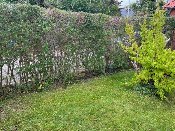 Gartner/Have arbejde - opgravning af 18m hæk