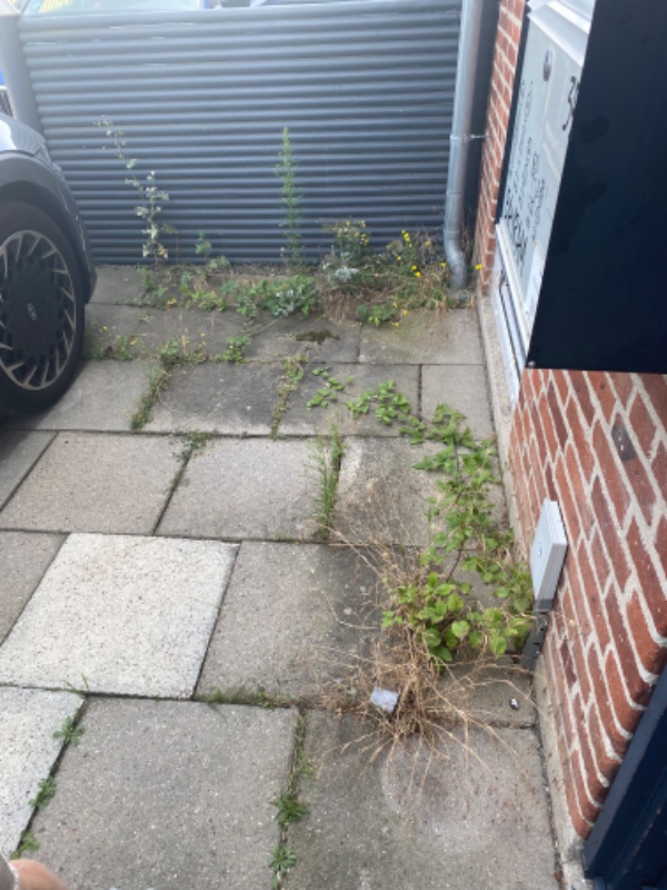 Fjerne ukrudt fra lille have/rækkehus.