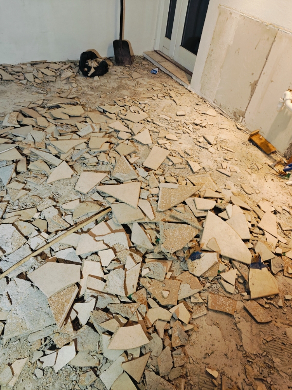 Bortskaffelse af klinker fra villa.