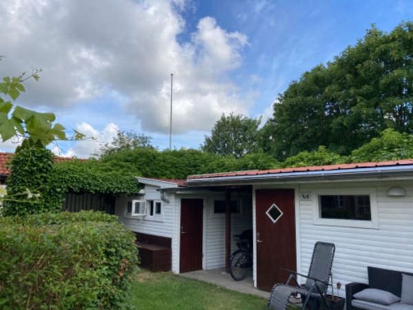 Nedklipning af efeu. Man skal op på skures tage for at klippe da det er groet op der.