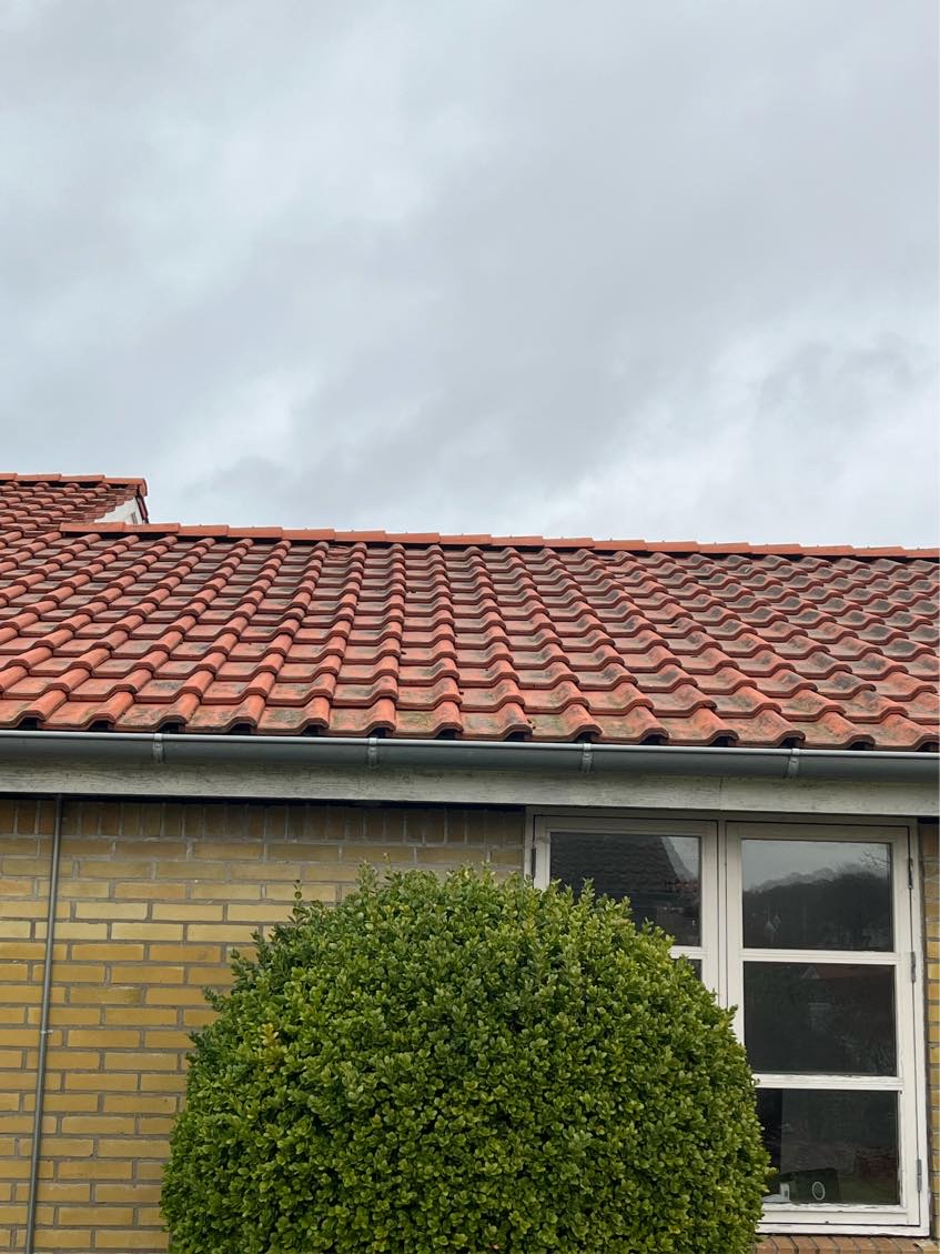 Udskifte 3 tagsten på vingetegl tag