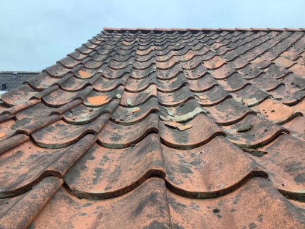 Skiftet teglsten på tag, ca 20 stk. tegl haves.