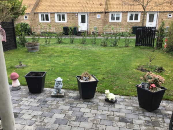 Hjælp til renovering af græspløne