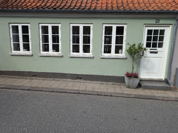 Udvendig maling af 4 sprossevinduer og dør i byhus