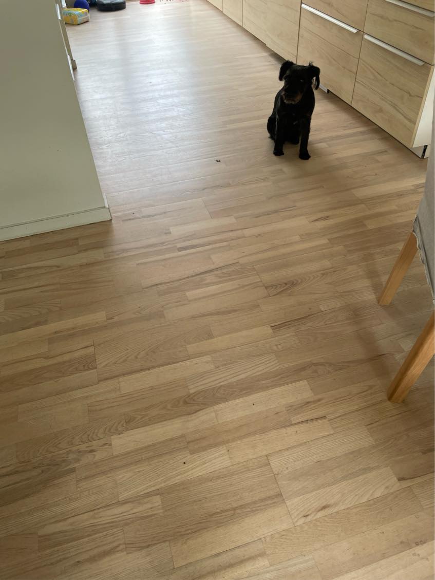 Rengøring af hus, 120 m2