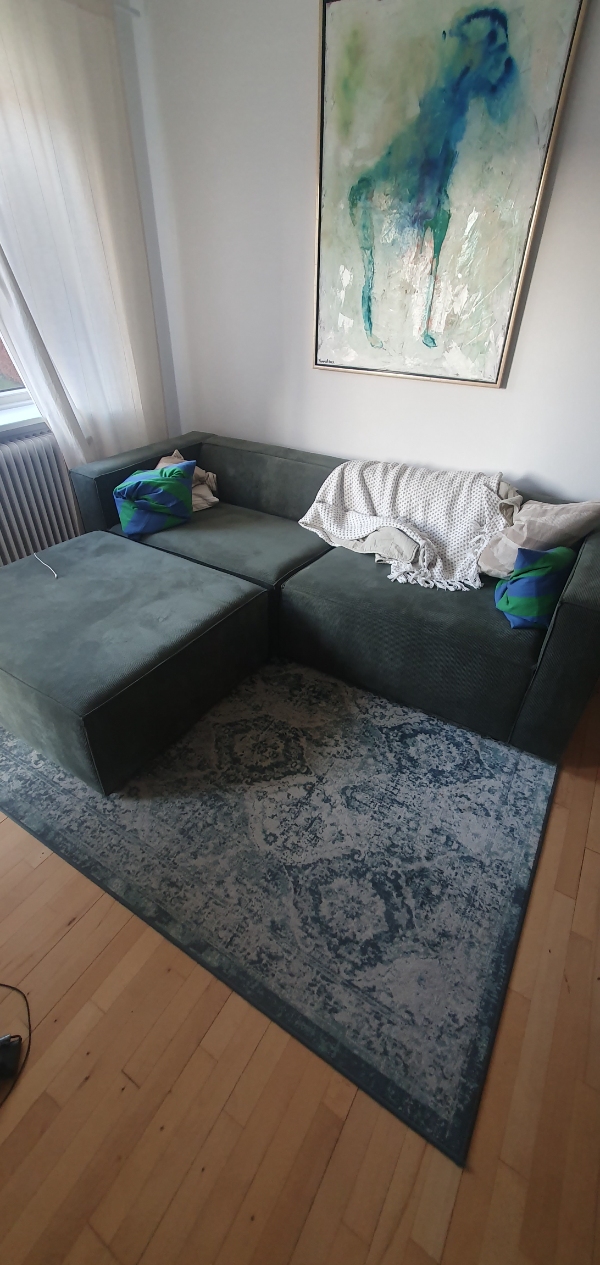 Flytning af køleskab og modulsofa