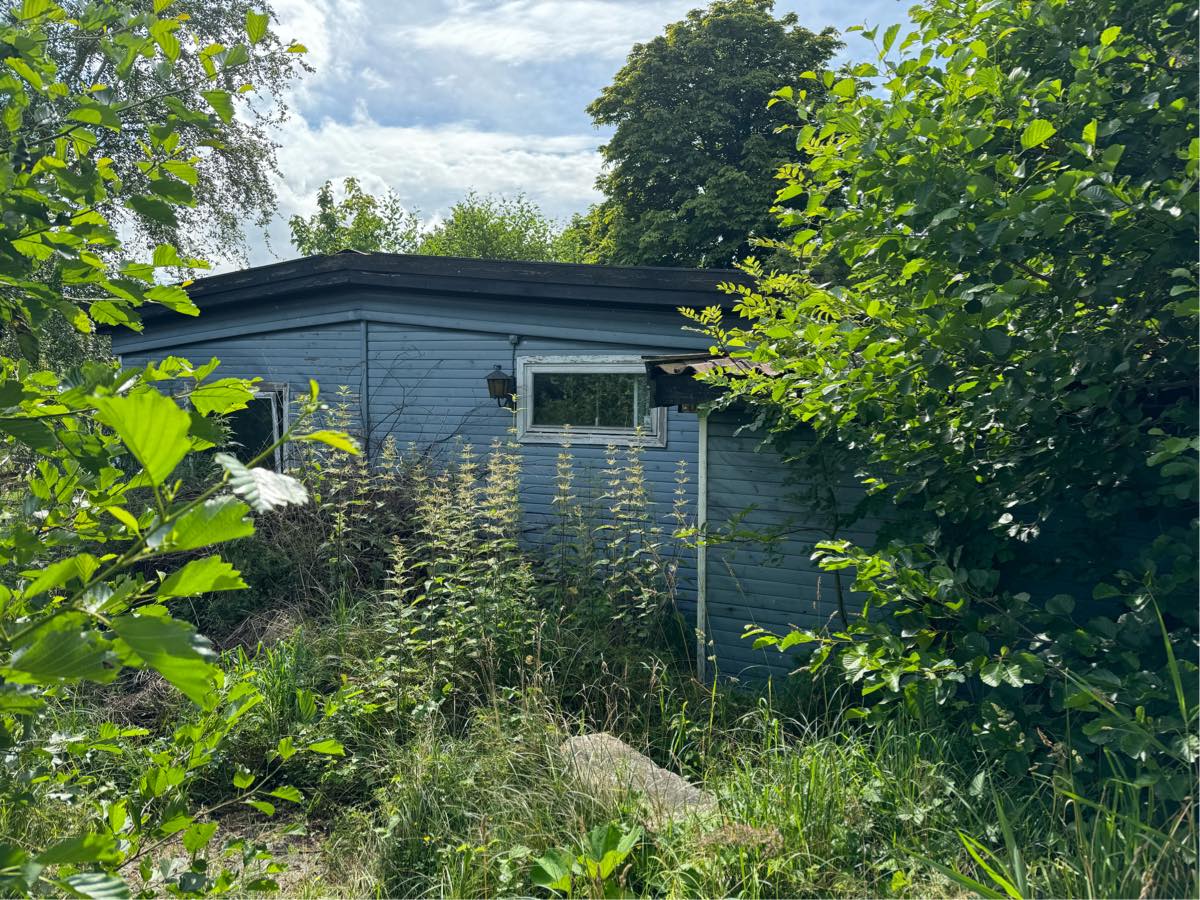 Rydde grund og hus for affald samt beskære grunden