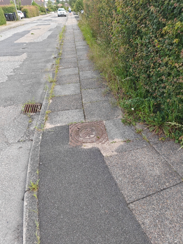 Ukrudtsfjernelse hjørnegrund og forhave