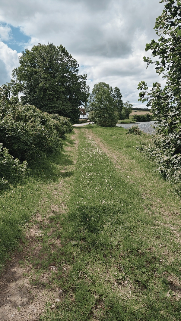 Græsslåning og hækklipning