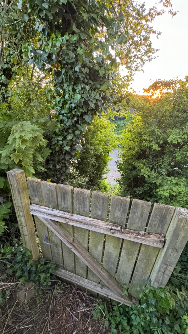 Fjernelse af grenaffald 