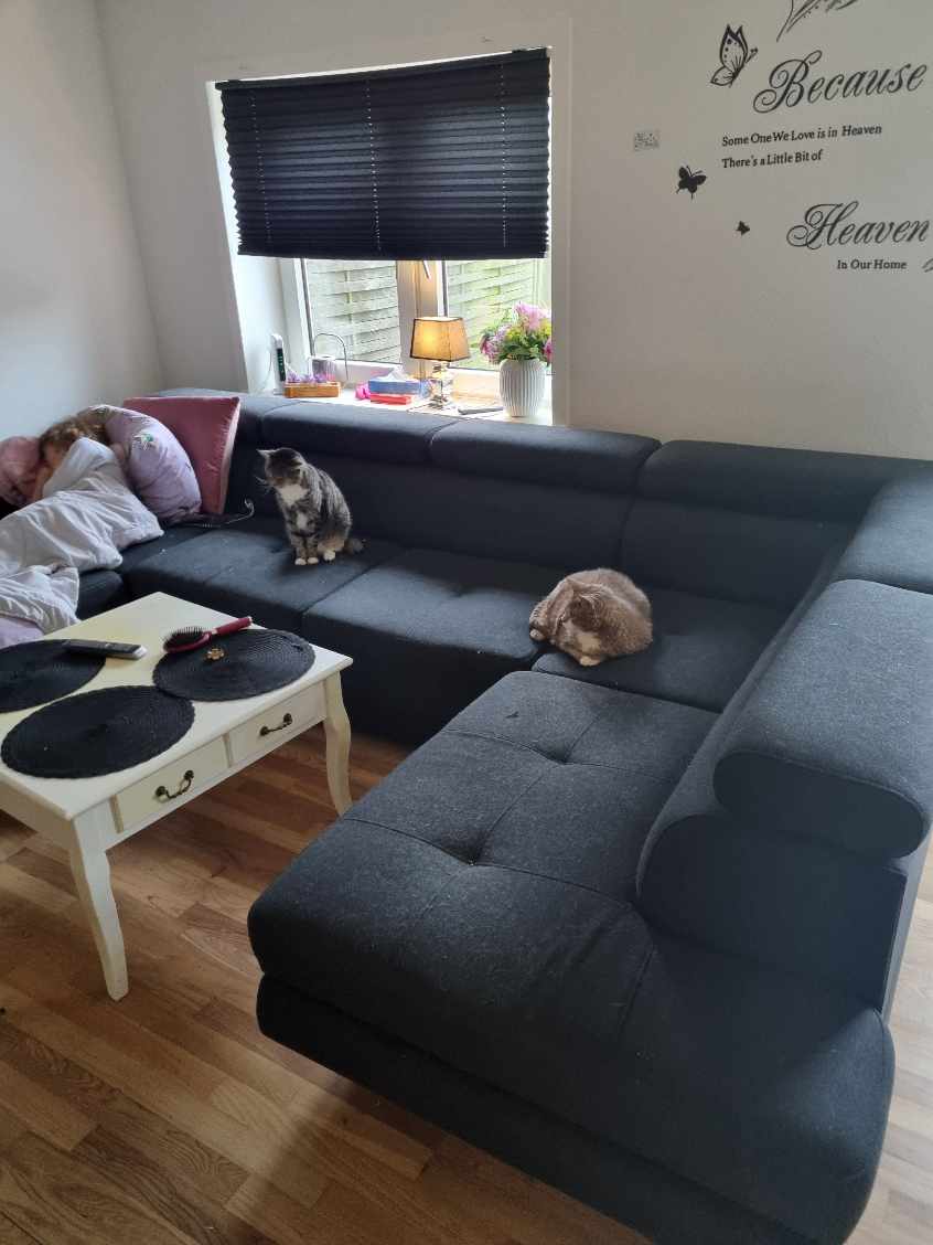 Vedkommende der skulle hente og køre min gamle sofa væk blev forhindret.  Den SKAL hentes i dag, det er en kæmpe stor og tung usofa som skal smides ud plus lidt andre småting der skal smides ud