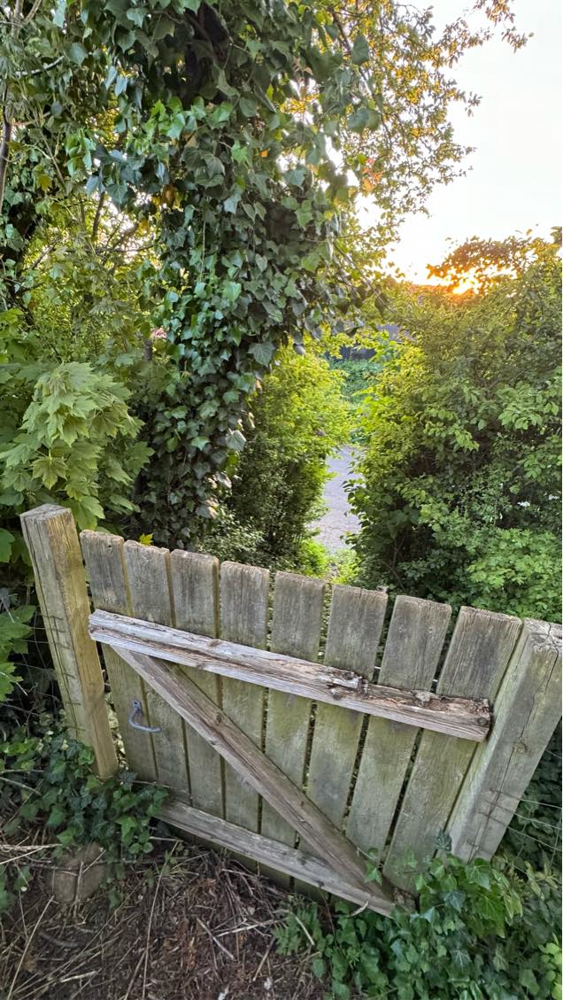 Fjernelse af grenaffald 