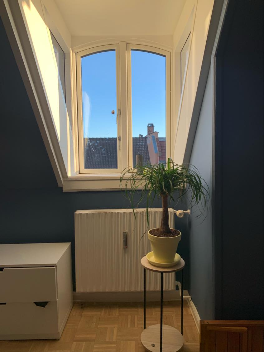 Window cleaning inside and outside