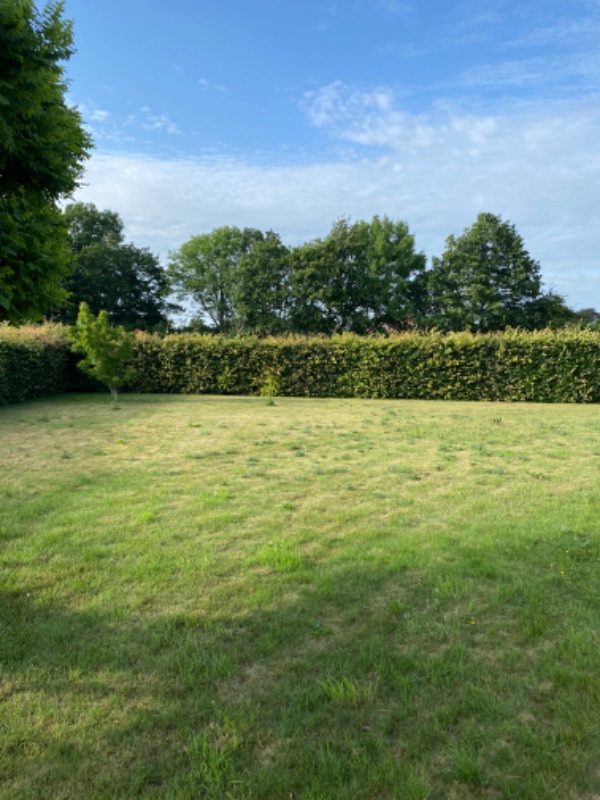 Hækklipning +bortkørsel