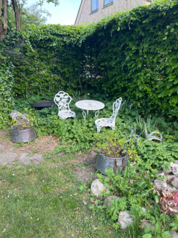 Forårs ukrudts rydning