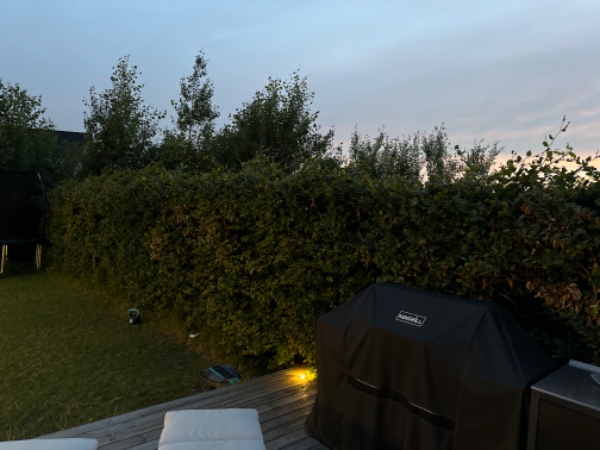 Havearbejde: hækkeklip og ukrudtsfjerning