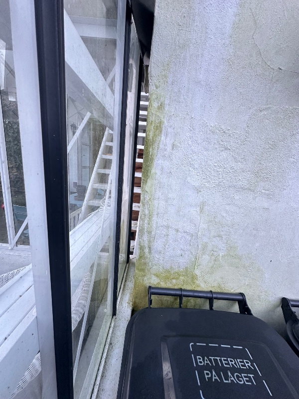 Bygg af tangerende rundt orangery