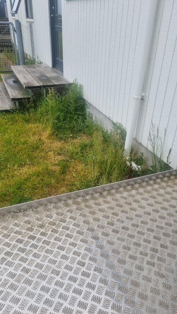 Fjern ukrudt og slå græs