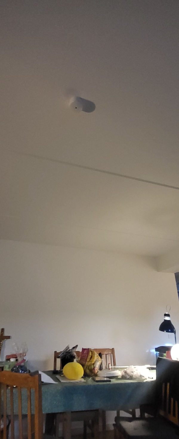 Jeg skulle have sat 8 lamper op er lige flyttet