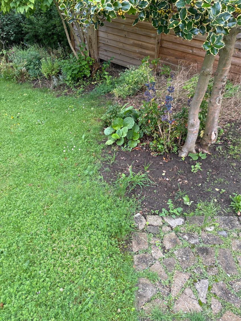 Fjernelse af bede og ukrudt