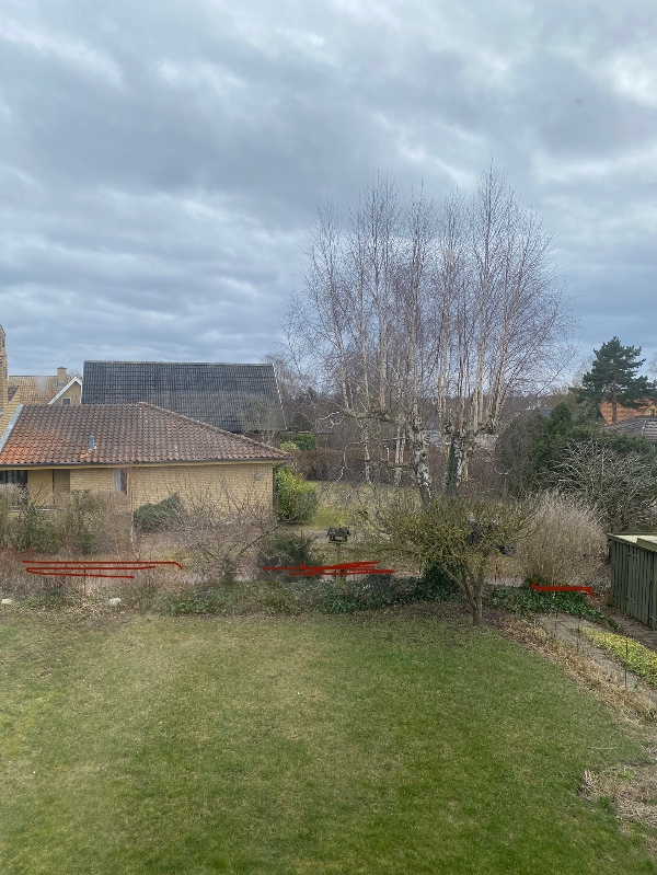 Fjerne buske og små træer langs sti så der kan etableres ny hæk