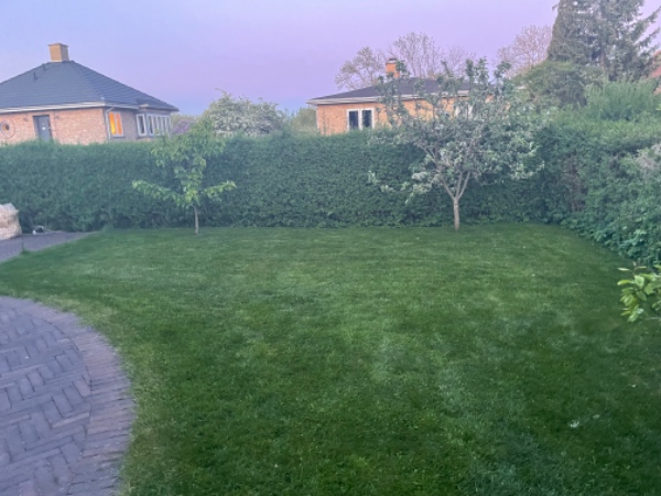 Nedgravning af trampolin