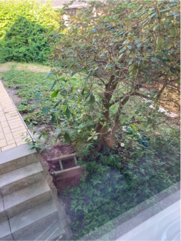 Lugning og oprydning af bede