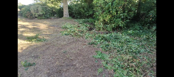 Haveoprydning en dag