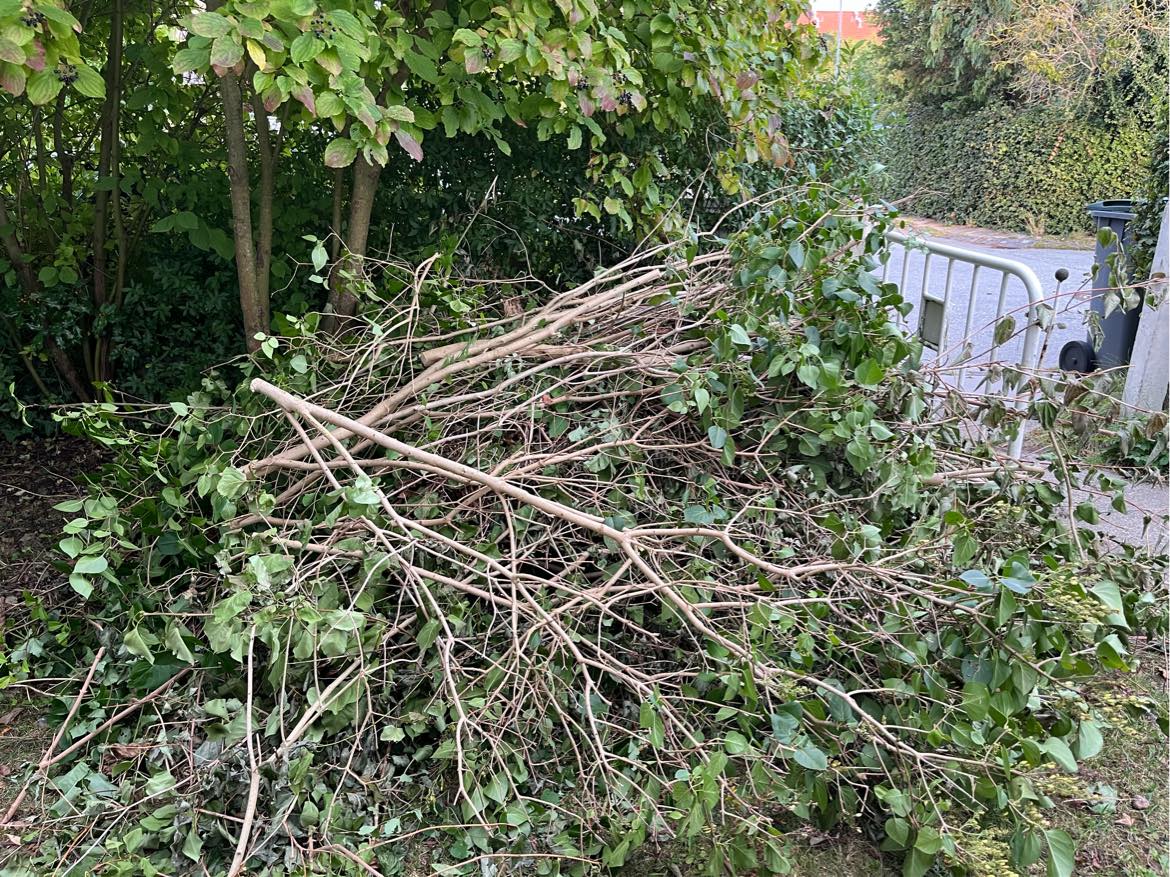 Bortkørsel af grene