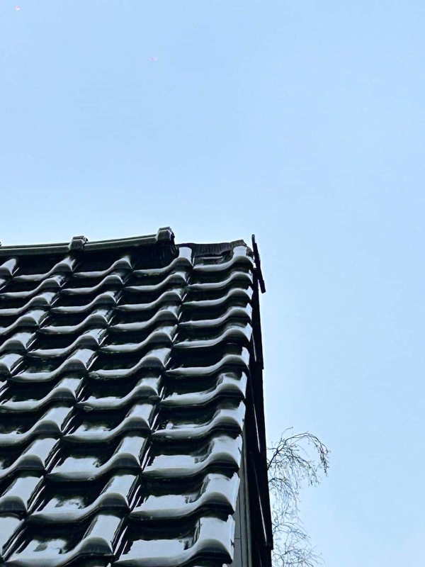 Erstaning af et styk ny tagryg