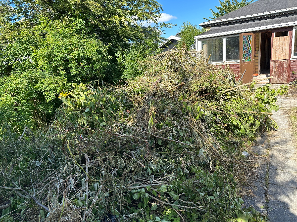 Fjernelse af haveaffald og træ