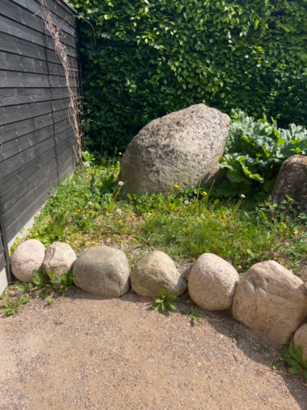 Forårs ukrudts rydning