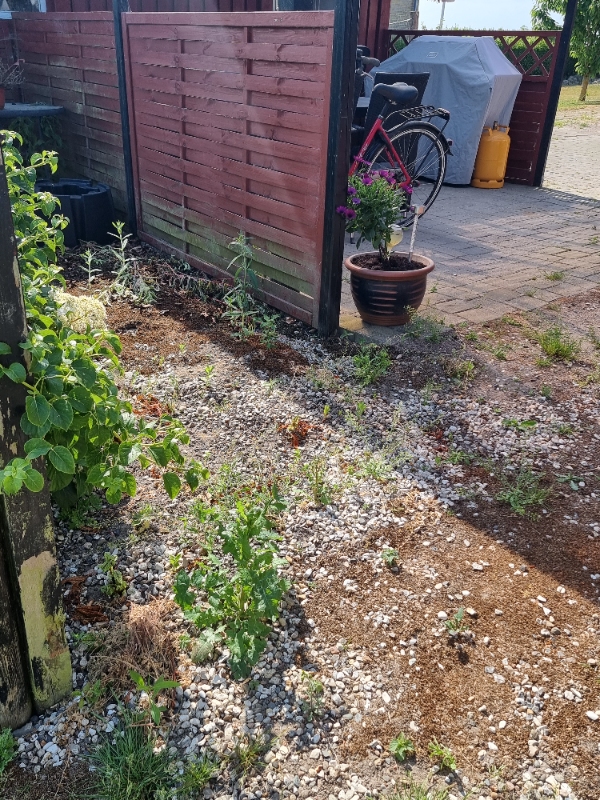 Hjælpe til ukrudt på terrassen og have