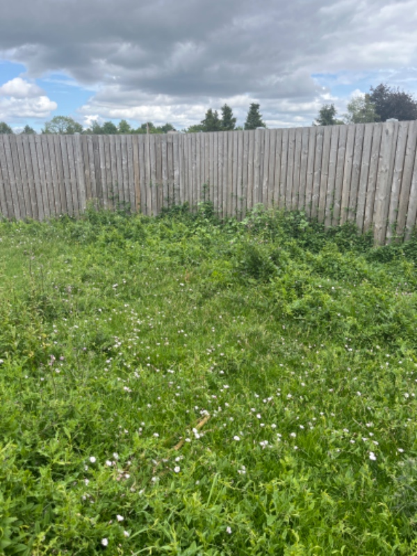Havearbejde, fjernelse af ukrudt (især tidsler) fra baghave og fjerne ukrudt langs hele hegnet