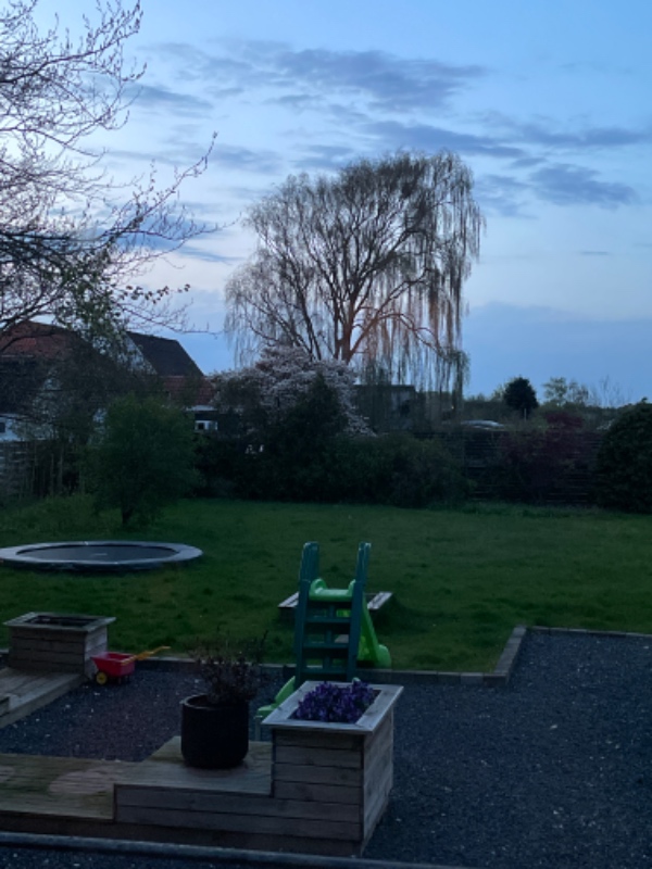 Græsslåning med egen plæneklipper