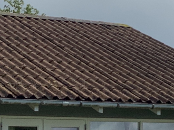 Nedtagning og bortskaffelse af artenittt