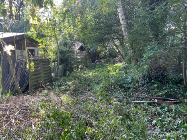 Have ryddes for en masse gamle brædder og hegn og diverse andet. Stort rod