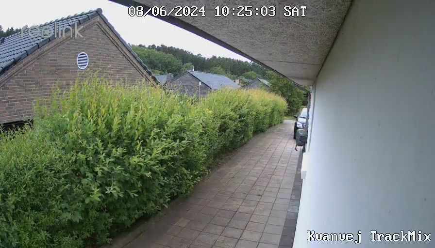 Klipning af 70m hæk til 1,80m