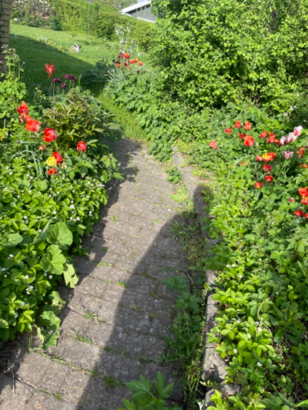 Fliselægning og havearbejde